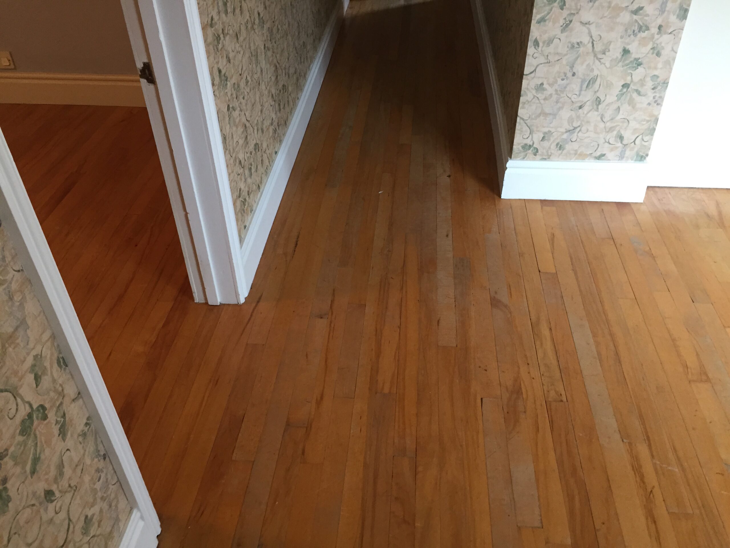 Solid Maple Strip Wood Floor Sanded & Restored, Andover