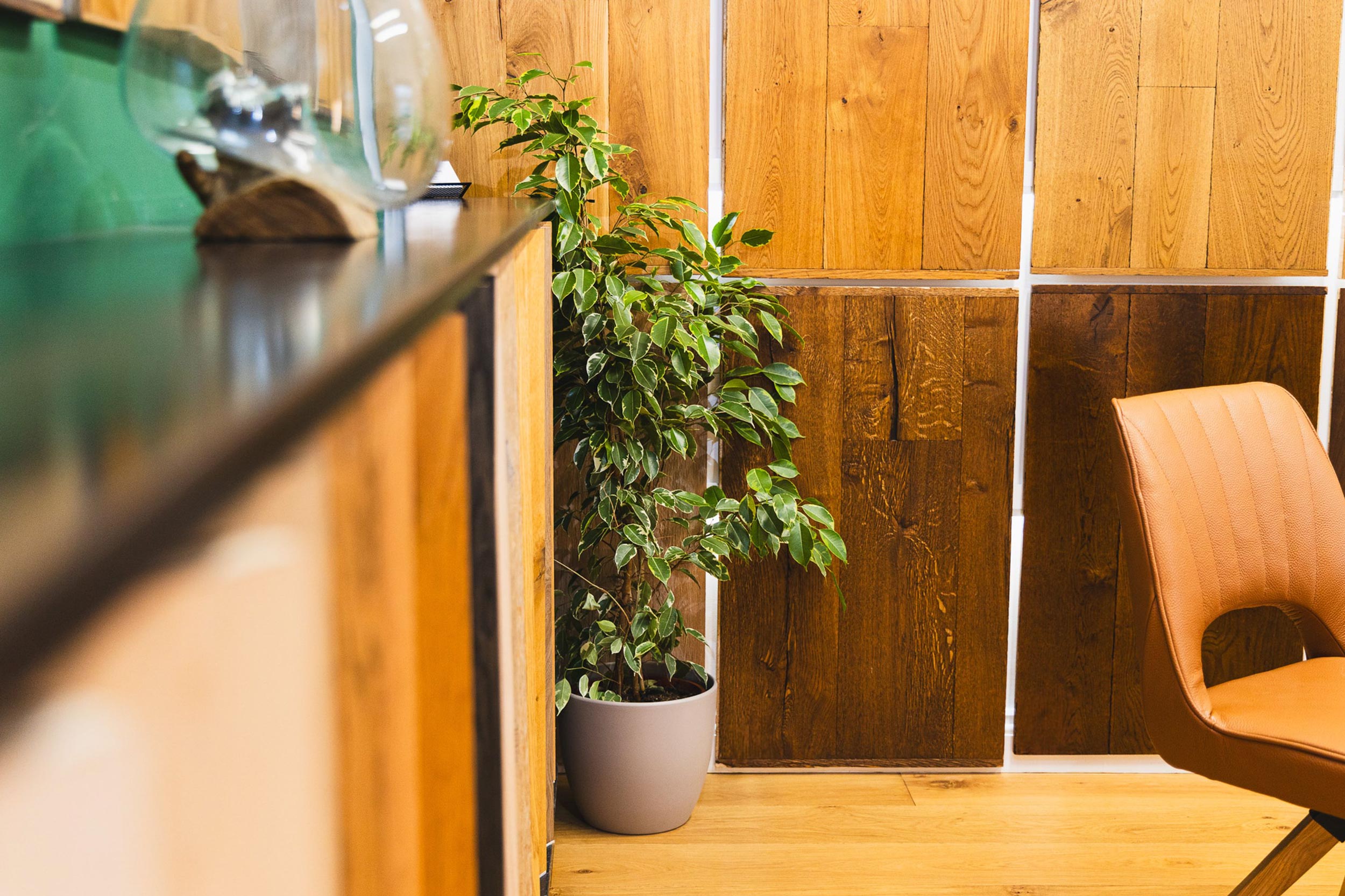 Artistic shot of salisbury wood floors showroom showcasing wood floor samples on the wall.