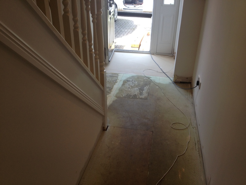 Engineered oak wood flooring with inset coir mat in Wilton, Salisbury