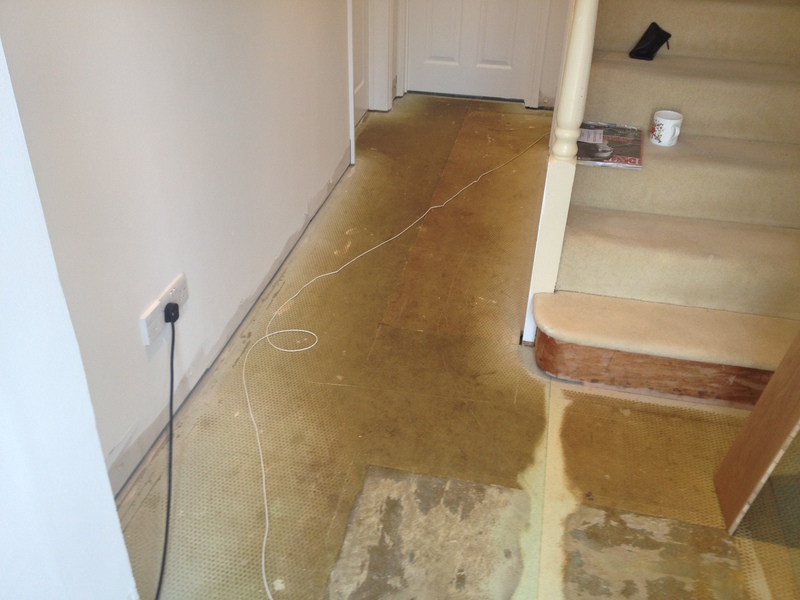 Engineered oak wood flooring with inset coir mat in Wilton, Salisbury